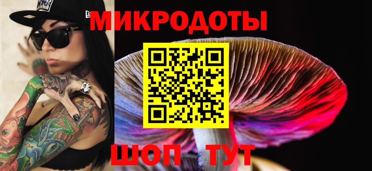 Псилоцибиновые грибы мухоморы Саратов