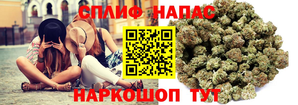 Канабис семена Саратов